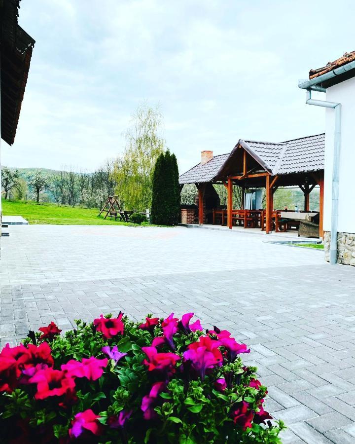 Pensiunea Turistica Retreat Belvedere Vadu Crisului Bagian luar foto